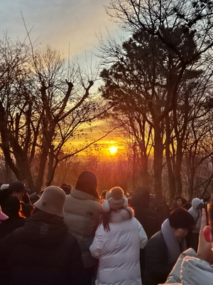 [Y르포]“붉은 말처럼 기운찬 한 해 되길” 대구 곳곳 해맞이객들로 ‘북적’
