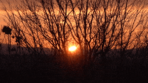 “병오년엔 모두 평온하고 무탈하길”…대구 동촌유원지 해맞이 인파