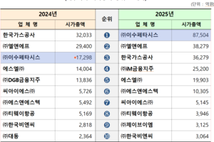 산업재편 속 대구 ‘시총 1위사(社)’ 얼굴 교체…이수페타시스 일년 새 5배↑