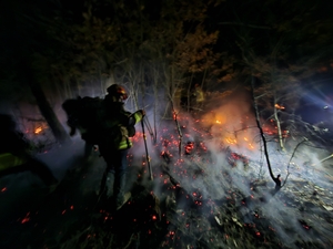 강풍 속 의성 야산 산불…주민 선제 대피·눈 덕에 대형화 막아