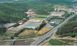 “못 믿겠다” 대구 수돗물…직접 마시는 시민 3.6%뿐