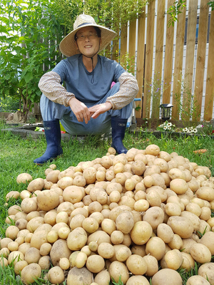 [부음] 채형복 경북대 법학전문대학원 교수 별세