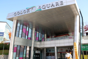 “외관부터 바꿔야”…80억 들일 미디어아트, ‘낙후된 건물’에 갇히나