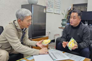 “성주 참외, 생산 확대만으론 소득 못 지켜”... 성주참외 경고음