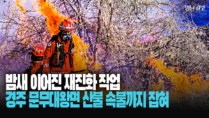 경주시 문무대왕면 산불, 재발화 진화… 잔불 정리 지속
