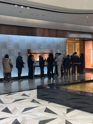 ‘삼전’ 오르자 샤넬부터…명품 매출 급증 속 장보기는 다이소