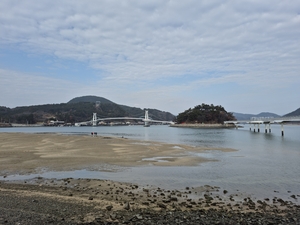 [김찬일의 방방곡곡 길을 걷다] 겨울 배알도 망덕포구