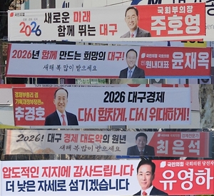 무주공산 대구시장, ‘금배지 난립 프레임’에 깊어지는 딜레마