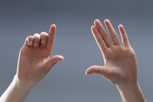 [위클리포유 커버 스토리] 농인들의 정체성 ‘수어’…인식은 확산하는데, 통역 보급은 제자리