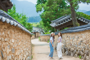 돌담길 3㎞, 600년 시간을 걷다…성주 한개마을 ‘로컬100’이 된 이유