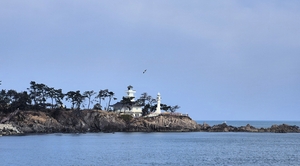 [경북 동해안 등대 로드] ① 감포 송대말 등대…감포항 지켜온 70년 목격자