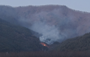 [속보] “봉화 춘양 산불 54분 만에 진화”…산림당국 신속 대응