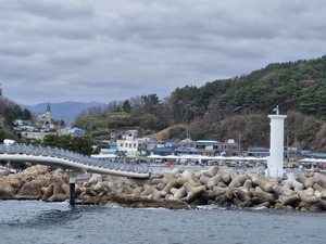 [경북 동해안 등대 로드]④영덕 대진항등대.. 고래와 사람의 시간을 품다