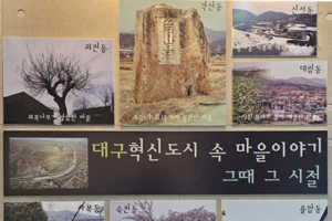 [동네뉴스] 대구 혁신도시 중앙공원, ‘고향관’ 품은 힐링 명소로 인기