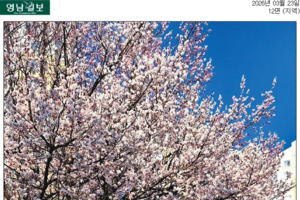 [정정보도문] ‘아니 벌써?···예고보다 먼저 핀 경주 벚꽃’ 관련