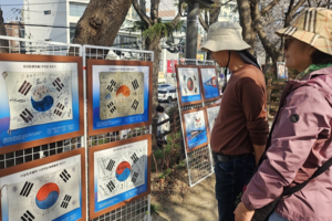 [동네뉴스] 분홍빛 꽃길 끝에서 만난 ‘가장 오래된 태극기’