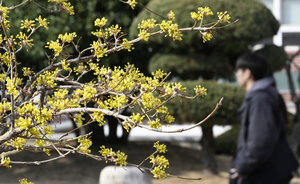 대구경북 주말 평년보다 기온 낮아…강한 바람 주의
