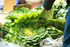 SNS 유행 음식, 식재료 가격 상승 견인