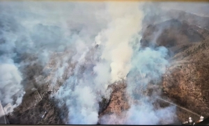 [속보] 포항 군부대 사격 훈련 중 산불...진화 중