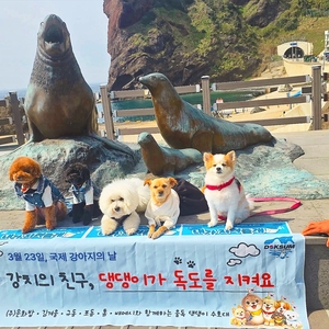 [동행 취재] “반려견 동반 울릉도·독도 수호 여행 선보여”...문화밥, 환경보호 결합 ‘국내 첫 시도’