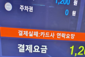 [어떻게 생각하십니까] 공영주차장선 무용지물 대구로페이…“전통시장 주변은 예외” VS “공공재는 취지 안 맞아”