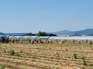 과수원 일하랴, 아이 보랴…돌봄 품은 구미 농촌, 정주여건 바꾼다