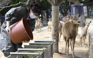 [직업체험, 영남이가 간다⑪] 치우고 먹이고 살피고…대구 달성공원 동물원 사육사의 하루