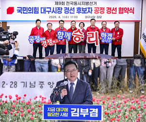 6·3 대구 민심 테스트…당신은 어떤 대구를 원하나