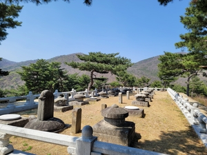 [동네뉴스] 영화 ‘왕사남’의 여운, 성주에서 이어지다…태봉에서 선석사, 한개마을까지 역사탐방