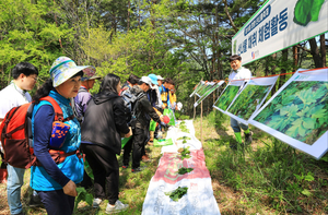 미식UP·건강UP·환경UP ‘영양산나물축제’