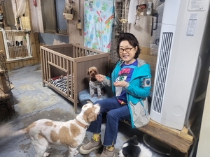 [동네뉴스] 30년 한결같이…유기동물 곁을 지키는 ‘천사’