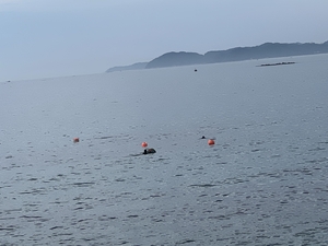 [속보] 울진 죽변항 실종 50대 다이버 12시간 만에 구조