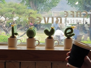 [동네뉴스-스마트폰 세상보기] 유리창 너머, 다시 찾아온 일상의 여유