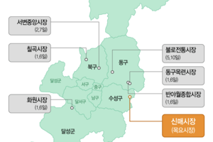 ‘대구 전통시장은 살아있다’…5년간 대형마트 20% 사라질때 독자 마케팅으로 ‘건재’