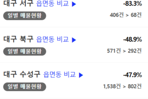 2년째 불꺼진 아파트 세입자 들어온다…cr리츠 통매각 아파트 990호, 전세시장에 풀려