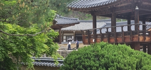 [주말, 픽] 낯선 들녘에 스며든 스크린 속 그 장소 ‘김면장군 유적지’