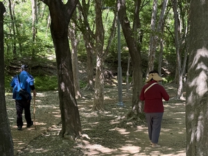 [대구 도시숲 기행②] 대구 서부권 ‘도심 허파’, 상리공원