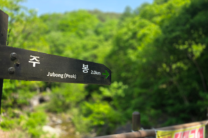 청송 주왕산 실종 11세 강군 숨진 채 발견
