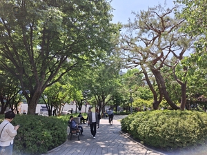 [르포: 대구 바닥민심을 훑다②]경상감영공원·반월당 지하 상가서 들어본 7080 민심
