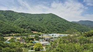 [동네 지명(地名)이 이상해요]“시다바리 아니고 時多입니다”…경주 산골마을 이름의 반전