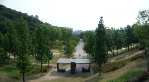 [주말&여행-두류공원 대구대표 도시숲] 숲길 사이로 쏟아진 사랑, 굽이굽이 돌아와 성당못에 머물다