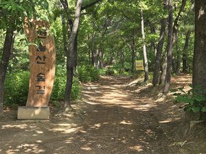 [대구 도시숲 기행④] 대구 수성구민의 도심 속 휴식처, 천을산 숲길