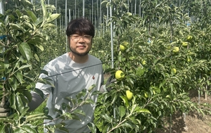 [주말 인터뷰] “디자인은 농업의 경쟁력이 됐습니다”…AI로 봉화 사과의 미래를 그리는 박준호 씨