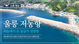 [영상] 울릉 최대 국가어항 저동항…하늘에서 담은 동해의 생명항