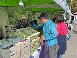 “좋은 농산물 싸게 사러 왔어요”…대구 두류공원 달군 ‘제19회 아줌마대축제’ 성황