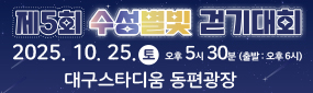 수성별빛대회