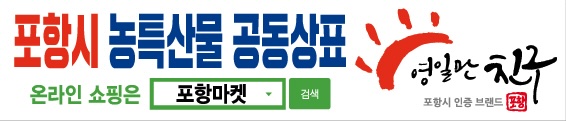 포항시배너