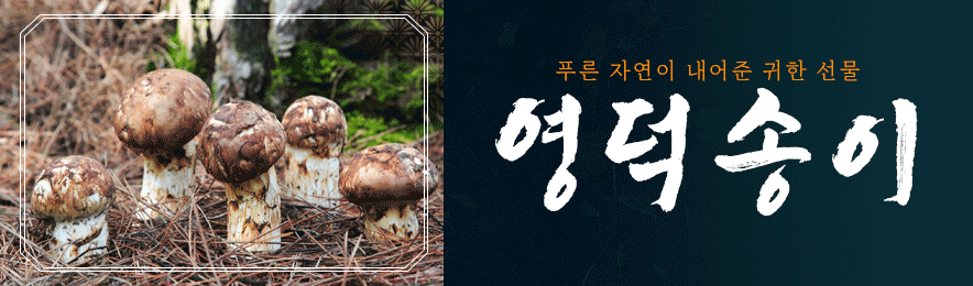 영덕군배너