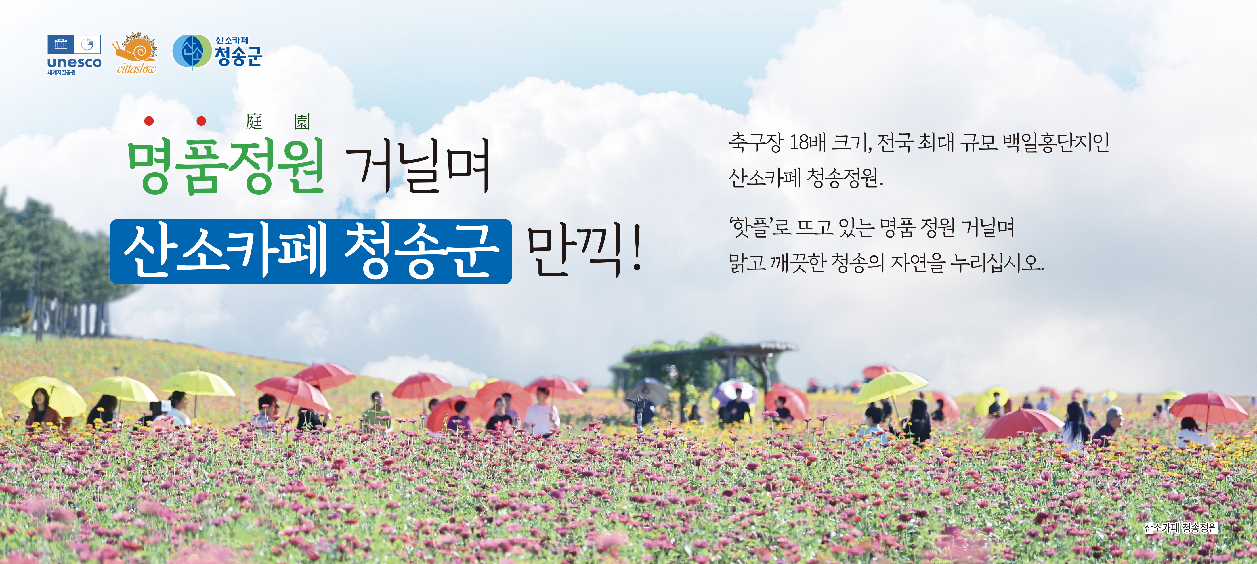 청송군 id=