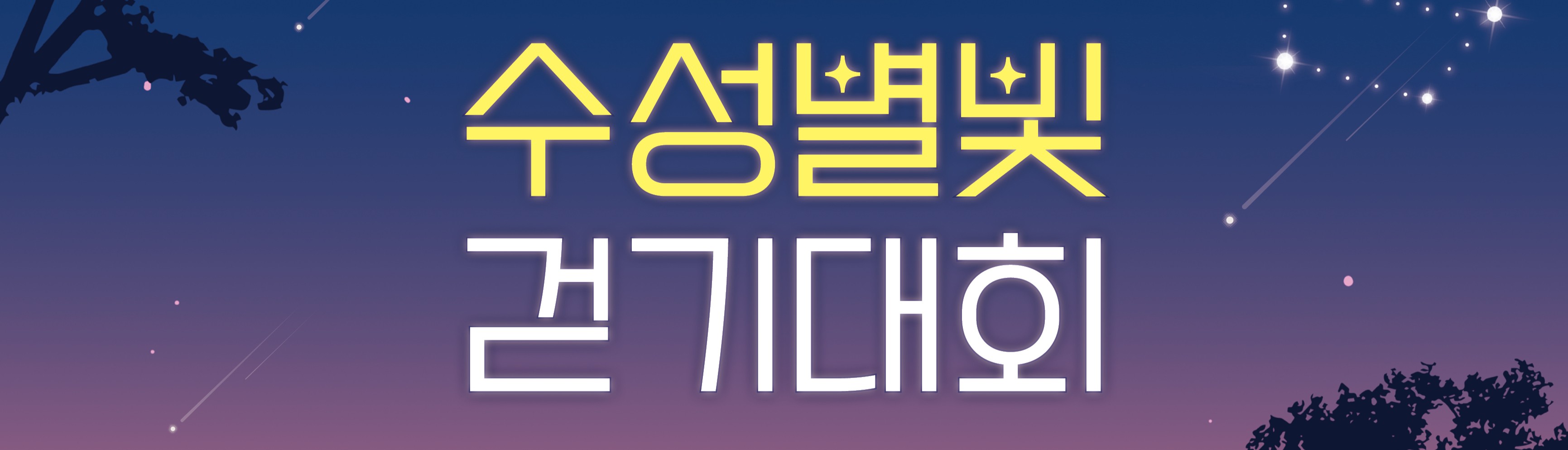 제6회수성별빛걷기대회